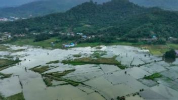 The Aworeka River Overflows, 400 Hectares In Konawe, Southeast Sulawesi Are Submerged By Floods