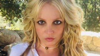 Britney Spears Ajukan Nama Jason Rubin, Akuntan Forensik Berpengalaman untuk Gantikan Ayahnya