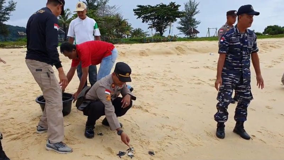 Residents Of The Riau Islands Need To Know, Selling Turtle Egg Is Very Prohibited From Being Threatened By The Criminal Lho!