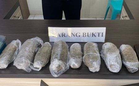 Polresta Kendari Ungkap Penyelundupan Ganja 1 Kilogram Asal Medan