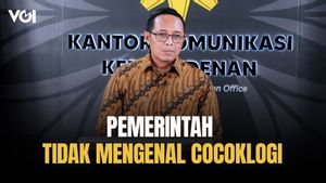 Hari Kebudayaan Bertepatan dengan Ultah Prabowo, Hasan Nasbi: Pemerintah Tidak Mengenal Cocoklogi