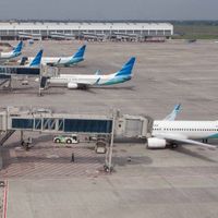 Waspada Hantavirus, Pengawasan di Bandara Soekarno-Hatta Diperketat