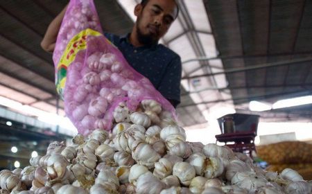 Bapanas: ID FOOD Ditugaskan Impor 20 Ribu Ton Bawang Putih untuk Cadangan Pangan Pemerintah