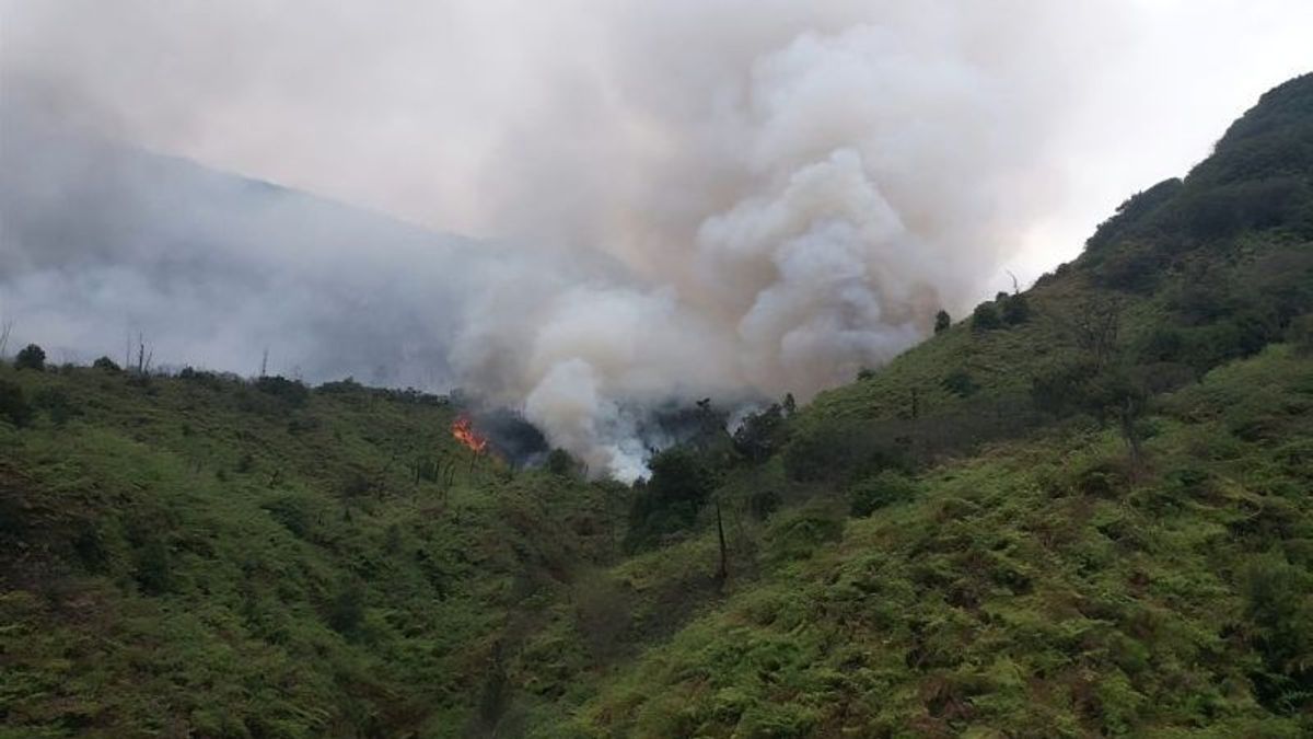 The Ministry Of Environment And Forestry Calls The Mount Papandayan Fire Has Been Localized For Cehaj To Expand