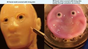日本の科学者が研究室で人間の皮膚を植えたロボットの顔を作る
