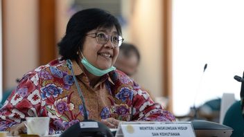 Minister Of Environment And Forestry Siti Nurbaya Will Stop New Palm Oil Licensing