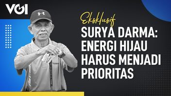 VIDEO: Eksklusif, Surya Darma Energi Hijau Harus Menjadi Prioritas