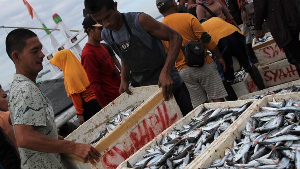 Bad Weather, Fish Price In Mamuju Up To 100 Percent