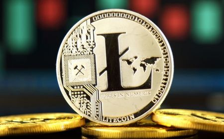 Halving LTC Kian Dekat, Aktivitas di Jaringan Litecoin Meningkat Signifikan