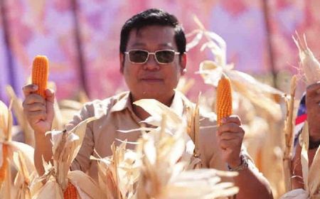 Bapanas: Impor Jagung Disetop demi Menyerap Hasil Produksi Dalam Negeri