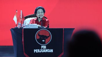 Megawati Alludes To 'Employee' Imports: If You Come, How Many Have I Been?