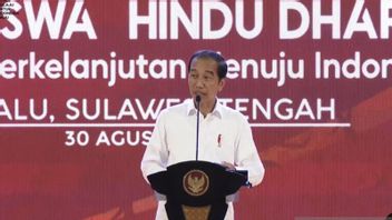 佐科威:印尼对绿色经济发展具有巨大潜力