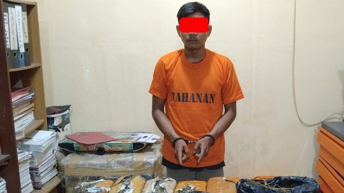 The Man In Siak Riau Was Arrested By The Police For Storing 7 Kg Dry Marijuana Leaves