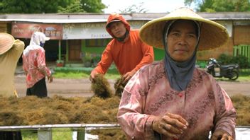 LPEI Resmikan Program Desa Devisa di Sidoarjo untuk Dukung Rumput Laut Indonesia Mendunia