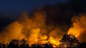 Kebakaran Hutan di Ciremai, 120 Petugas Damkar Diturunkan