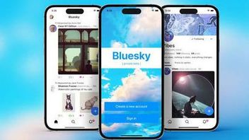Here's How To Quickly Delete Bluesky Accounts And Easy