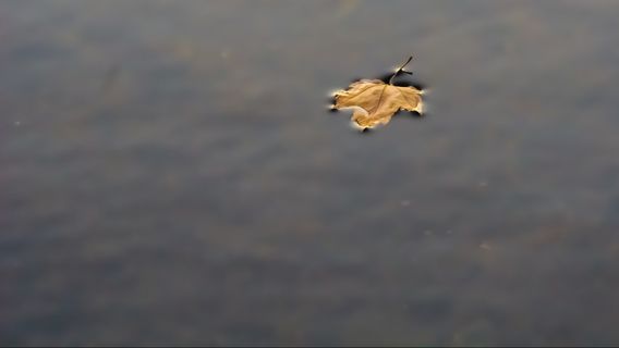 La Guerre, COVID-19, Maintenant Les Inondations Soudaines Ont Frappé L’Afghanistan à Un Moment Donné