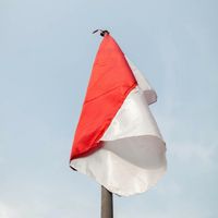 Viral Ibu-ibu Gunting Bendera Merah Putih
