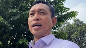 Bos Bulog Curhat Pernah Terima Beras Cepat Rusak imbas Hasil Panen Tak Sempurna