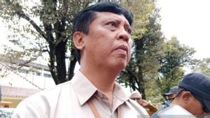 Tanah Ambles di Gunungkidul, BPBD Siapkan Uji Geolistrik