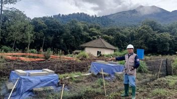 Pakar Mitigasi UB: Penebangan Hutan Harus Dievaluasi