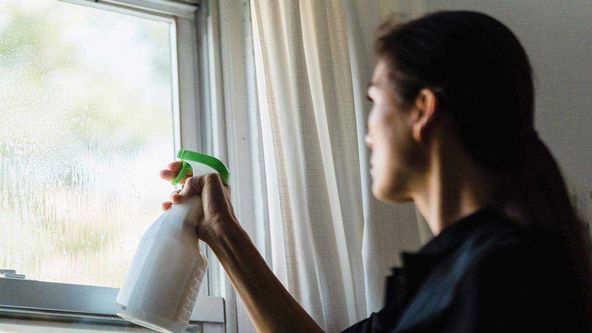 Best Time To Clean The Window To Clean Maximum