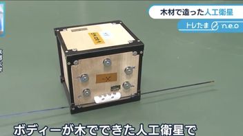 Japanese Researchers Successfully Create The World's First Wood Satellite, Expected To Be Launched In September
