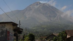 Pendaki Diingatkan Tak Rayakan HUT RI di Puncak Gunung Merapi