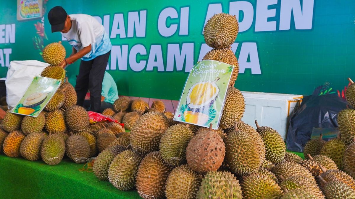 Tips Menikmati Durian Sepuasnya Tanpa Kuatir Harga