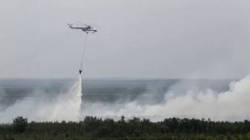 BNPB强调6个省已签署森林和陆地火灾，制定陆地和空中战略以扑灭火灾