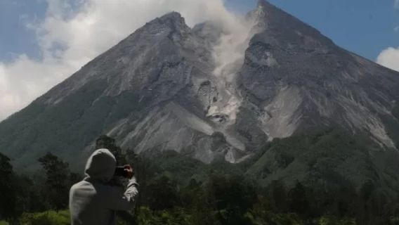 Gerakan Tanam Kopi di Lereng Merapi Sleman