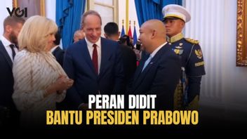Peran Penting Didit, Putra Presiden Prabowo Saat Kunjungan Kerja Presiden Macron