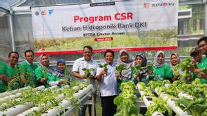 Bank DKI Resmikan Kebun Hidroponik di RPTRA Cibubur