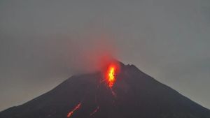 Dalam Sepekan, Gunung Merapi Luncurkan 143 Kali Guguran Lava