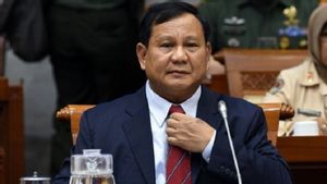 Anggota DPR F-PDIP Effendi Simbolon Minta Menhan Prabowo Transparan soal Rancangan Perpres Alpalhankam