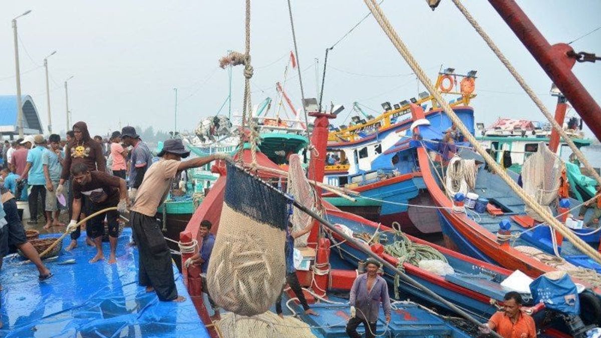 Les pêcheurs ne doivent pas endommager les écosystèmes marins avec des pattes àrawl lors de la pêche