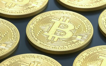 Rekor Baru Harga Bitcoin Rp1,2 Miliar, Dampak Pemilu AS dan Ketertarikan Institusional