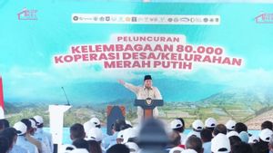Berisiko Kebocoran Dana Besar, Program Koperasi Merah Putih Justru Mencederai Pembangunan Desa