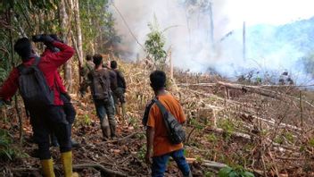 Fire In Riau National Park Extinguished After 16 Water Bombings