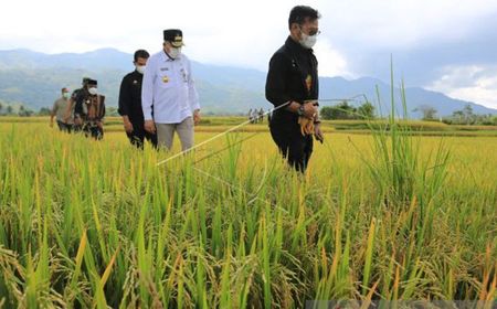 Mentan Jamin Stok Pangan Nasional Aman Jelang Ramadan, untuk Harga Tetap Fluktuatif Tergantung Global