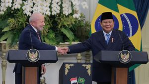 8 Kerja Sama Indonesia–Brasil Diteken, Fokus Energi Hijau hingga Pendidikan