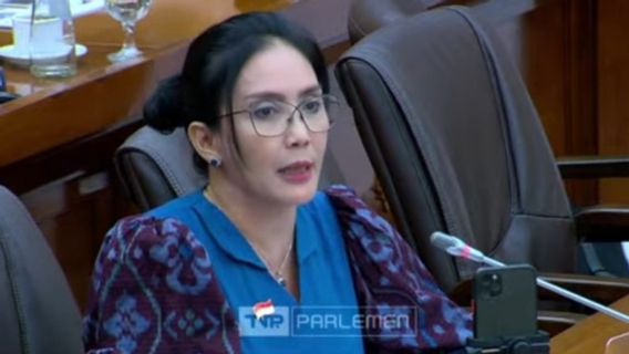 Anggota DPR Ragukan Legalitas Operasi Starlink 