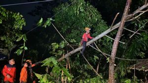 BPBD: Sepanjang Oktober Terjadi 41 Kali Bencana di Sukabumi