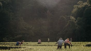 極端な暑い天候は、夜に働くためにベトナムの農家を強制します