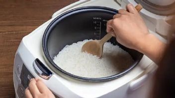 Rice Cooker Sharing Program Considered Unclear, Commission VII DPR Asks Director General Of Gatrik To Be Removed