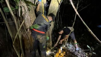 タバロン警察は、人間の骨格が発見された場所の木の上で布のシンプルリンクを見つけました