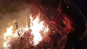 Petugas Berhasil Padamkan Kebakaran Hutan Gunung Jaaz Trenggalek