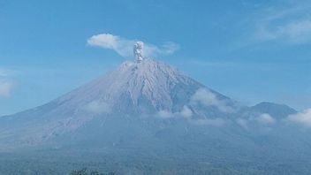 Mount Semeru 5 Times Eruption With An Eruption Height Up To 900 Meters