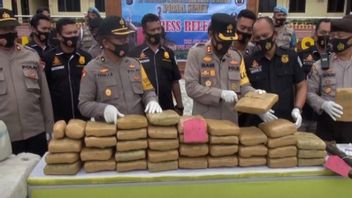 Polisi Gagalkan Penyelundupan 570 Kilogram Ganja di Madina