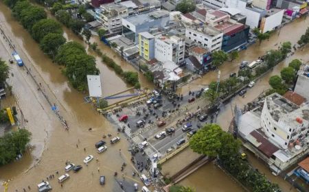 Wagub DKI Bilang Pemindahan Ibu Kota Cegah Jakarta Tenggelam, Walhi: Sesat Pikir